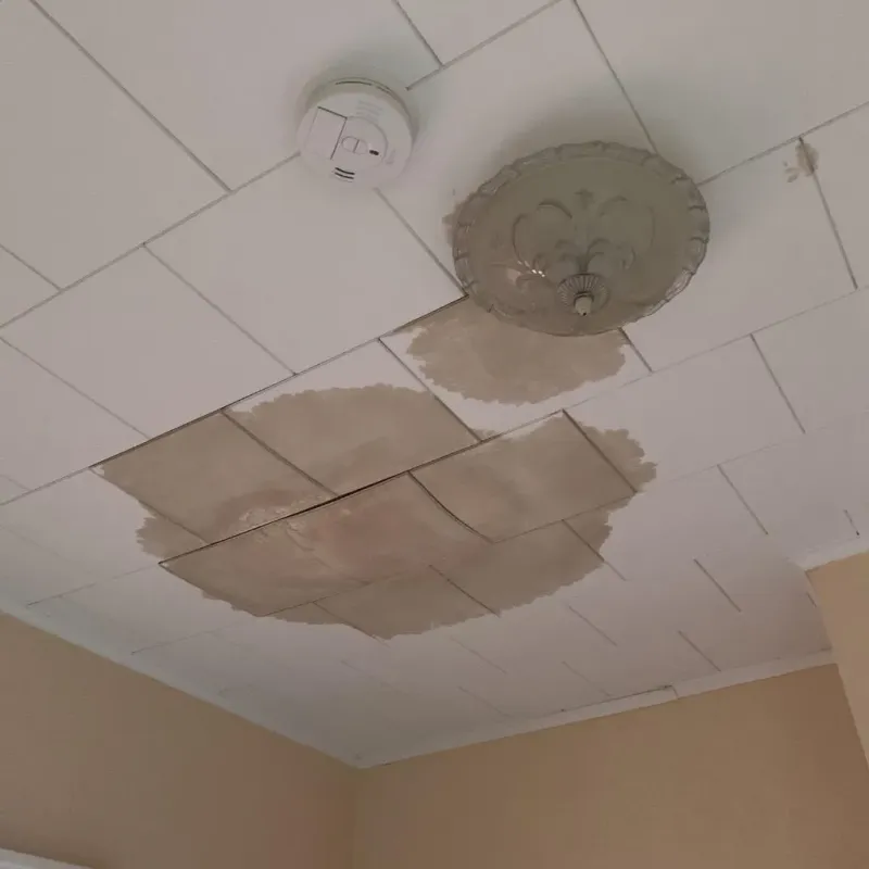Ceiling Water Damage Repair in New Town, ND