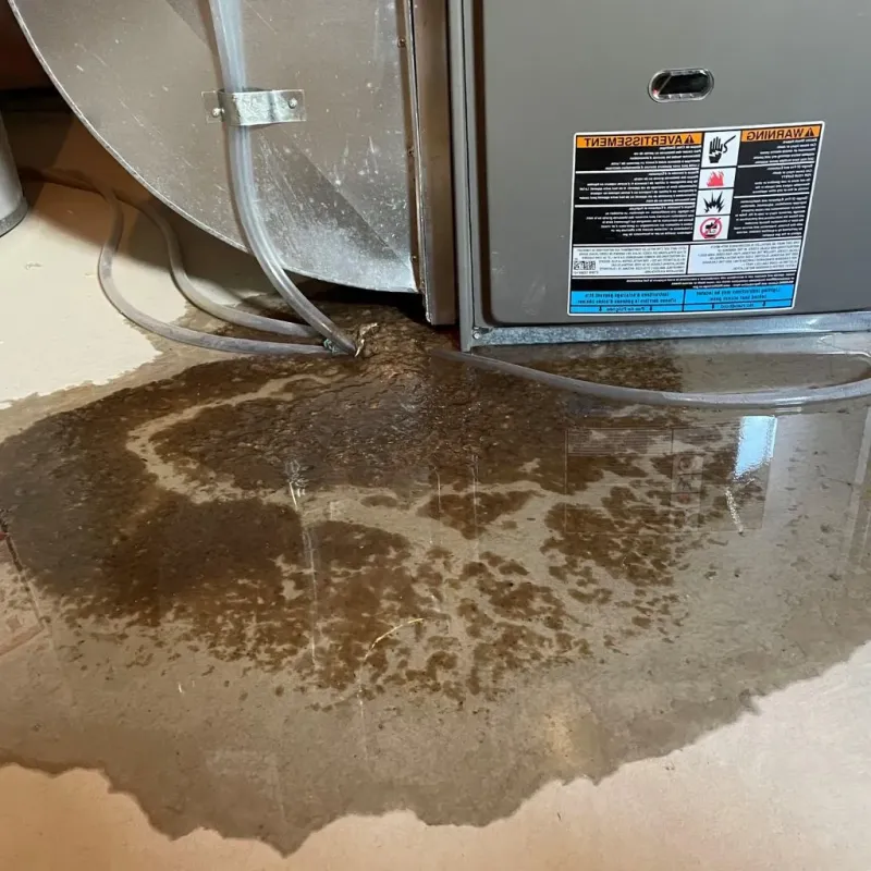 Pipe Burst and Leak Restoration in New Town, ND