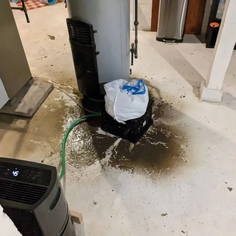 Sewage Backup Cleanup Service in New Town, ND